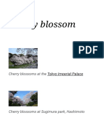 Cherry Blossom - Wikipedia