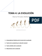 Tema 4. La Evolución PDF