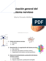 Tema 6. Organización general del sistema nervioso.pdf