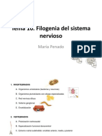 Tema 10. Filogenia Del Sistema Nervioso PDF