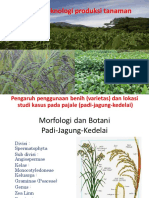 Etpt Kedelai Jagung Padi Benih