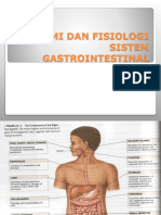 Anatomi Dan Fisiologi Sistem Gastrointestinal