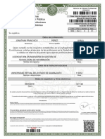 12000077 1918 Cedprof.pdf Cedula Profesional
