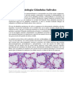 Histofisiologia Glándulas Salivales