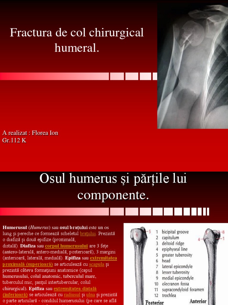 colul humeral ce alimente sunt bune pentru articulațiile genunchiului