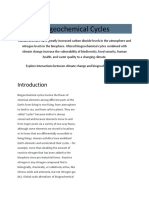 Biogeochemical Cycles