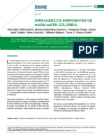 PATOTIPOS DIARREAGÉNICOS EMERGENTES DE Escherichia Coli EN COLOMBIA