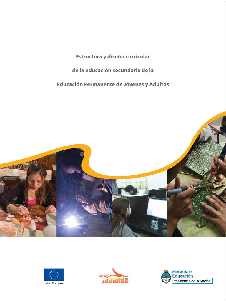 Diseño Curricular para Jóvenes y Adultos | PDF | Plan de estudios ...