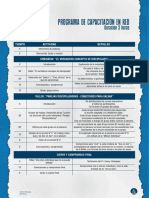 1. Programa Capacitación en red..pdf