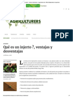 Qué es un injerto _, ventajas y desventajas – Agriculturers.com _ Red de Especialistas en Agricultura
