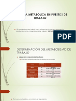 Demanda Metabólica en Puestos de Trabajo