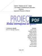 Anexa 35 Proiect M.I.A. - Multiplicarea Banilor [ MFB - Rara Avis Team ].doc