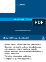 5Membrana celular.pdf