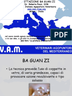 Coppettazione Ba Guan Zi