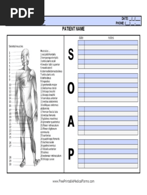 SOAP Note With Body