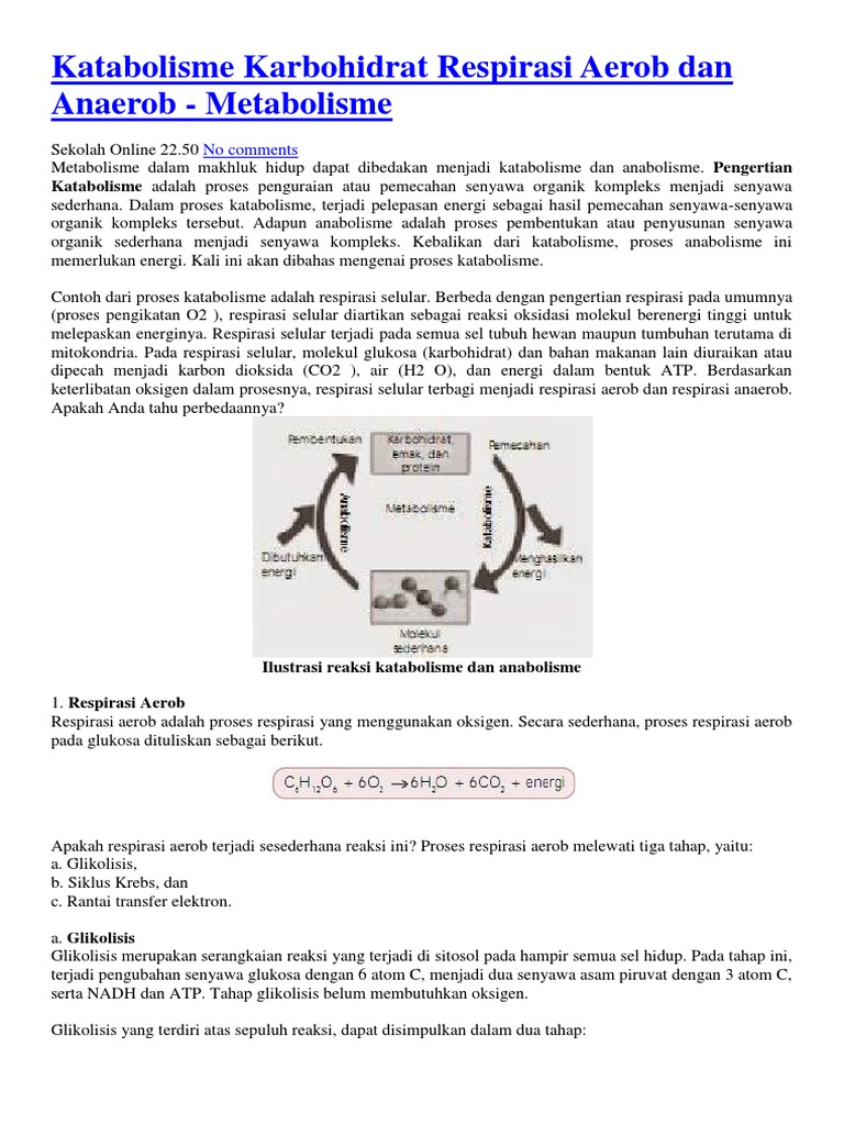 Proses Katabolisme dan Respirasi Seluler | PDF | Sains & Matematika