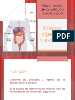 B II_T6 Sistema digestivo y excretor.pptx