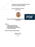 Informe Motilidad Gastrointestinal Del Cuy Fisio2