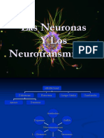 Neuron As y Neuro Transm I Sores