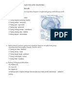 Nama Latin Tulang Manusia Komplit