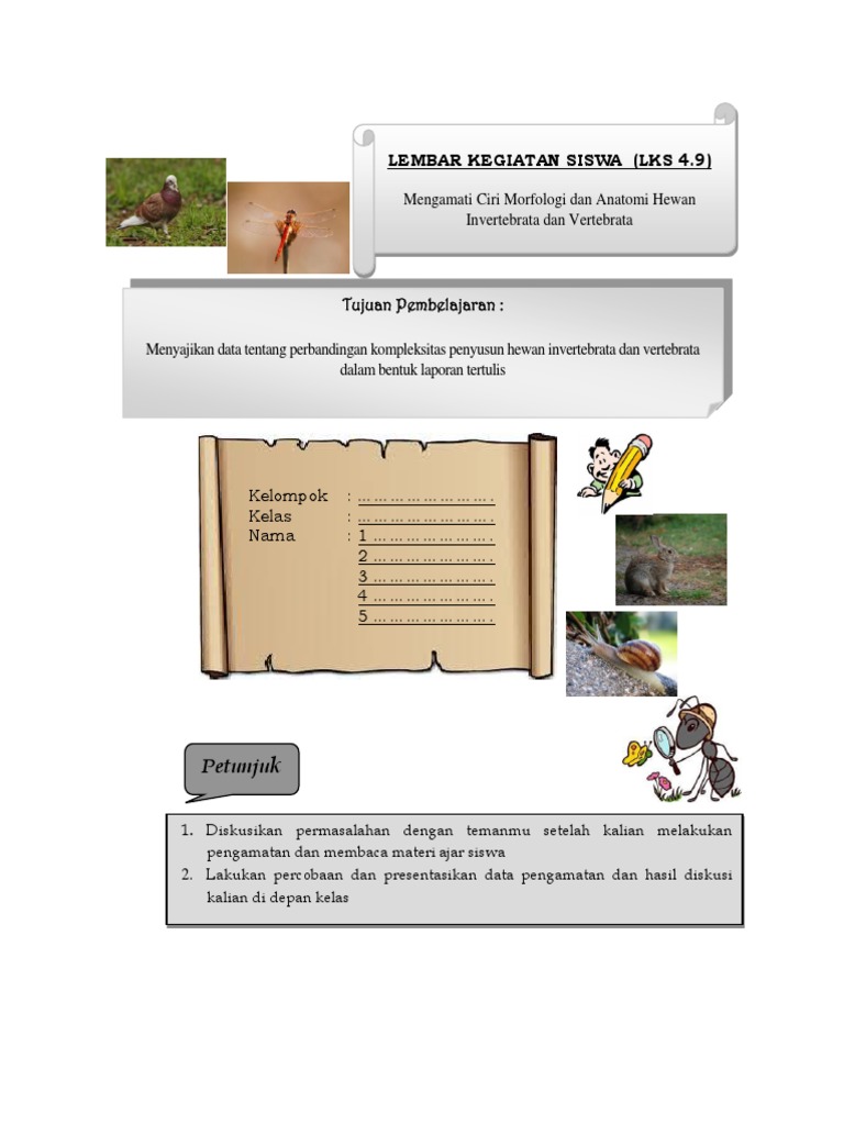 Praktikum Hewan Docx