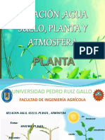 3° Clase SISTEMA PLANTA