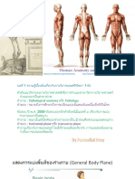 Anatomy ราม 2559 & ใบประกอบ 2558-9