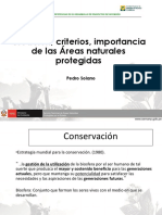 Creacion ANP - Pedro Solano.pdf