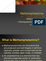 Methamphetamine PDF