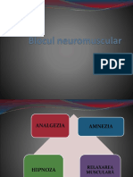 Blocul Neuromuscular