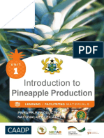 Intro To Pineapple Unit 1