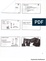 14. Histologi Skeletal