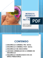 Modulo II Desarrollo Cerebral