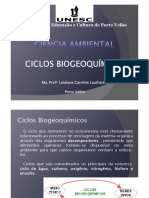 Ciclos Biogeoquímicos