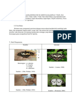 Daftar Pustaka