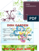 Dish Gardening