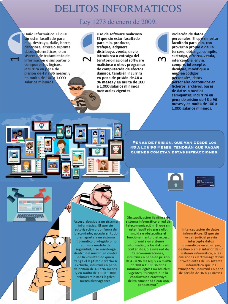 Infografia Delitos Informaticos Cibercrimen Edad de información