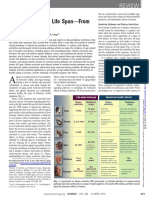 Lifespan From Yeast To Humans