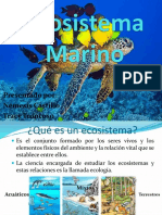 Ecosistemas marinos: características y tipos