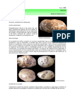 Streptomtomyces Ssp