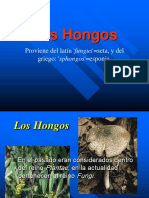 02 Los Hongos