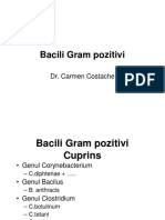 BGP 1 Corynebacterium Curs PDF