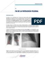 mod402_radiografia_pleural.pdf