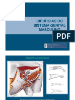 CIR_GENITAL_MASC.pdf