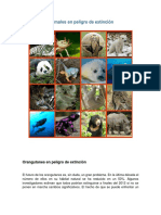 Animales en Peligro de Extinción