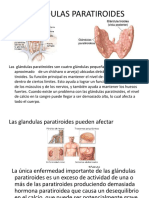 Exposicion Anatomia Del Sistema Nervioso