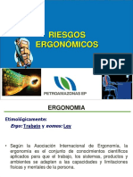 Riesgos Ergonomicos