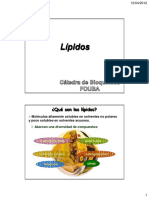 clase2lipidos2012.pdf