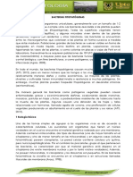 BACTERIAS-2.pdf