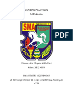 Laporan Praktikum Elektrolisis